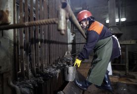 Grid operator clears debris