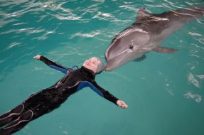 Дельфин с ребенком