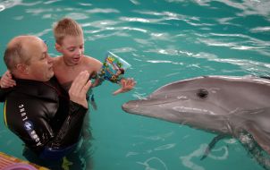 Dolphin therapy