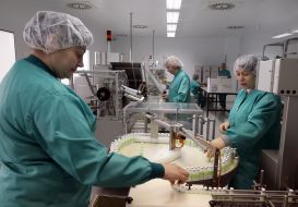 Production of insulin