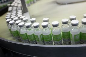 Production of insulin