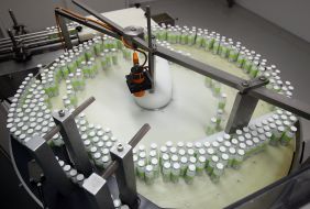 Production of insulin