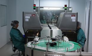 Production of insulin