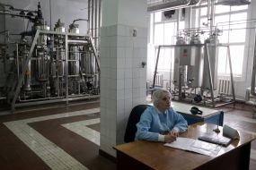 Production of insulin