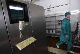 Production of insulin