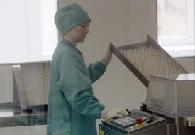 Production of insulin