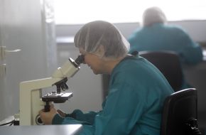 Production of insulin