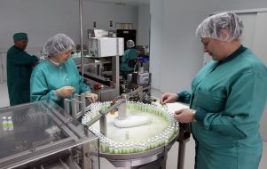 Production of insulin