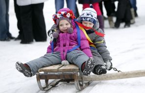 Дети катаются на санках