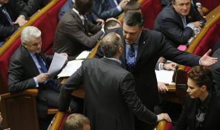 Oleg Tyagnibok and Nestor Shufrich