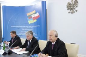 Володимир Рибак, Відас Гядвіляс та Богдан Борусевич