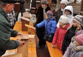 Children treated birdhouses