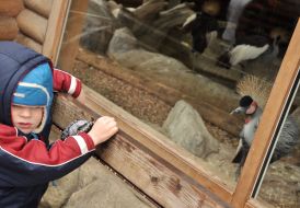 The child in the Kiev Zoo
