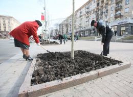 The landing of chestnuts