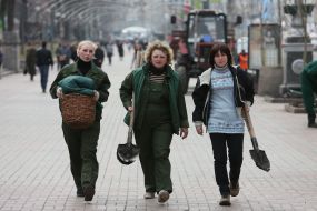 The landing of chestnuts