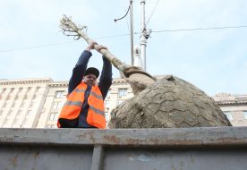 The landing of chestnuts