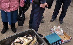 Confiscated fish