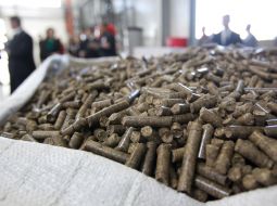 Топливные гранулы