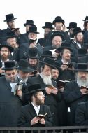 Hasidim