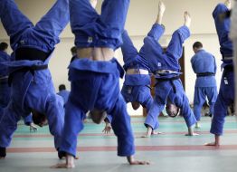 Дзюдоисты сборной Украины