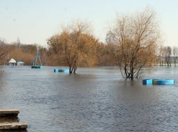 Flooded park