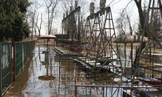 Flooded park