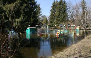 Flooded park