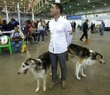 Dog Show