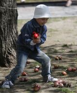 A boy collects Easter eggs