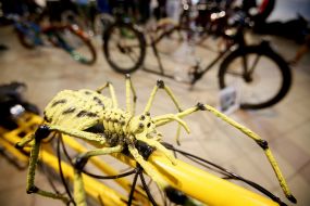 Фестиваль кастом культуры