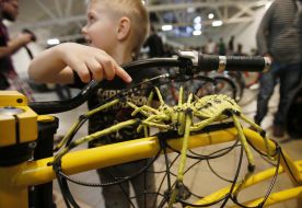 Фестиваль кастом культуры