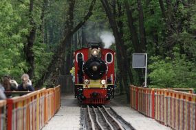 Train Kyiv Children's Railway