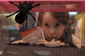 Дівчинка дивиться на павука