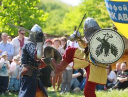 Demonstration knightly battles