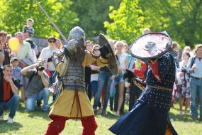 Demonstration knightly battles
