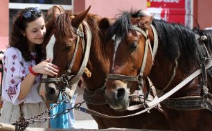 The girl stroking horse