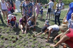 Children planted flowers