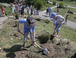 Children planted pine