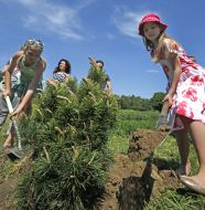 Children planted pine