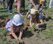 Children planted flowers