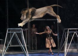 Aleksey and Veronika Pinko with the lions