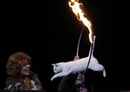 Lyubov Timokhina with a cat