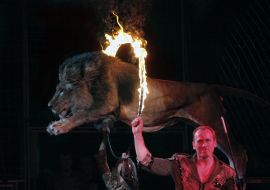 Aleksey Pinko with a lion