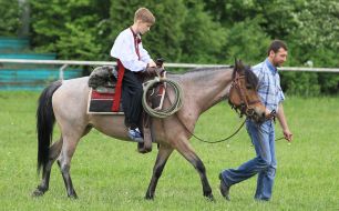 Чоловік катає хлопчика на коні