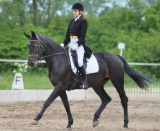 Учасниця кінного фестивалю "Вихідні верхи"