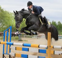 Учасник кінного фестивалю "Вихідні верхи"