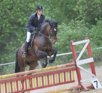 Петро Плекан