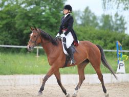 Учасниця кінного фестивалю "Вихідні верхи"