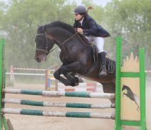 Учасниця кінного фестивалю "Вихідні верхи"