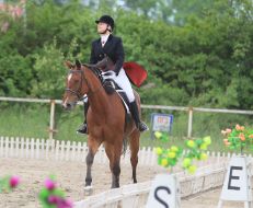 Учасниця кінного фестивалю "Вихідні верхи"